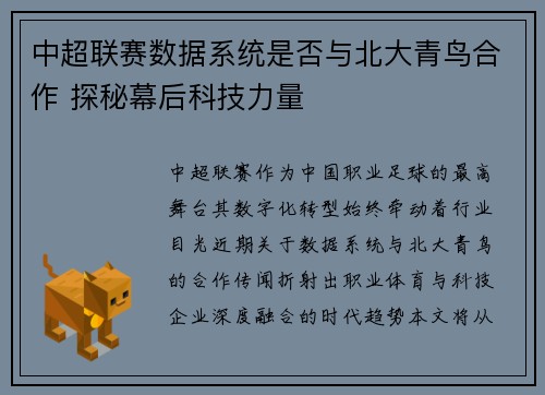中超联赛数据系统是否与北大青鸟合作 探秘幕后科技力量